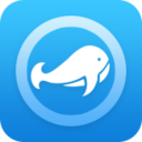 海豚加速器app