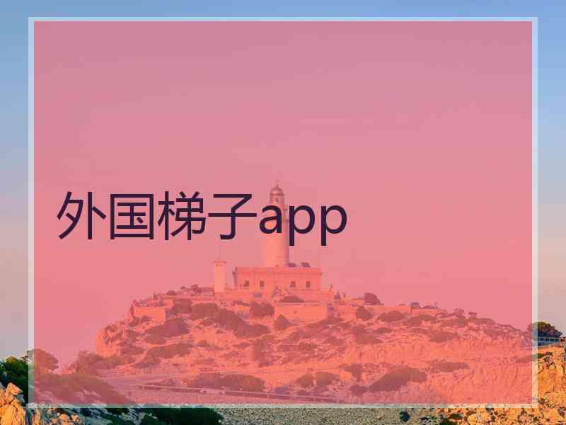 外国梯子app