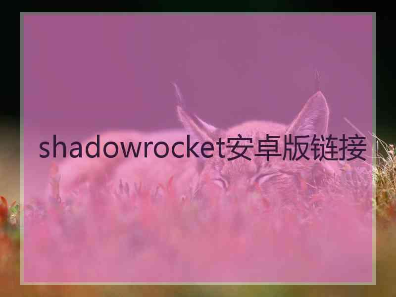 shadowrocket安卓版链接