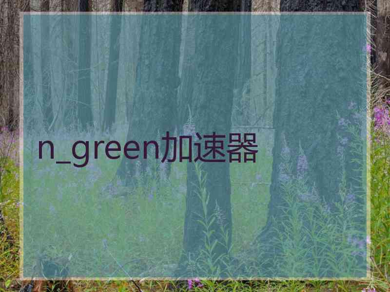 n_green加速器