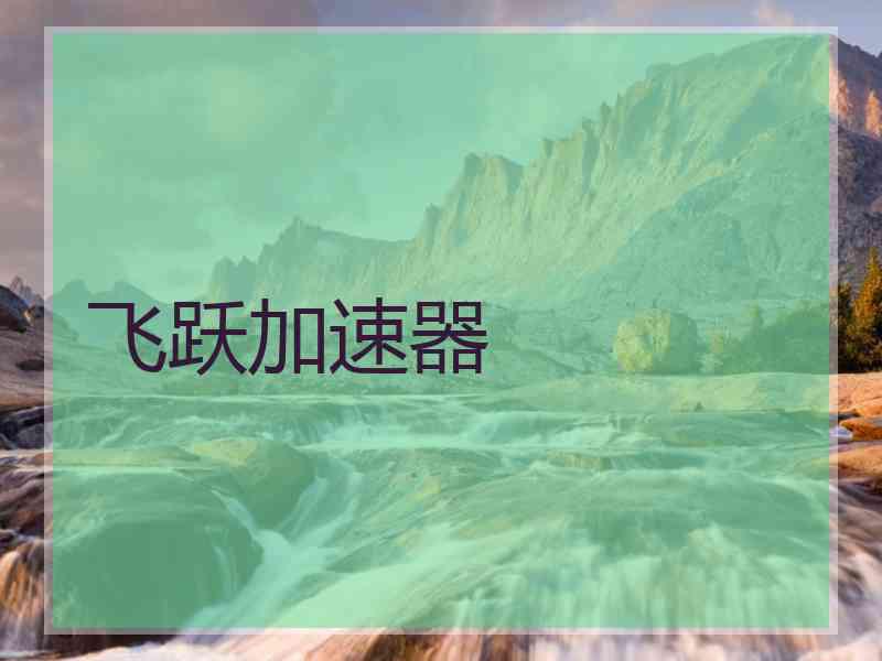 飞跃加速器