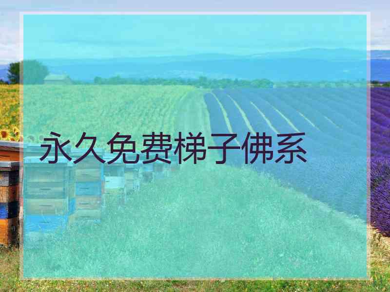 永久免费梯子佛系