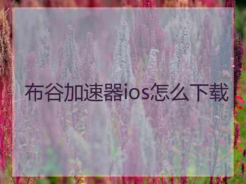 布谷加速器ios怎么下载