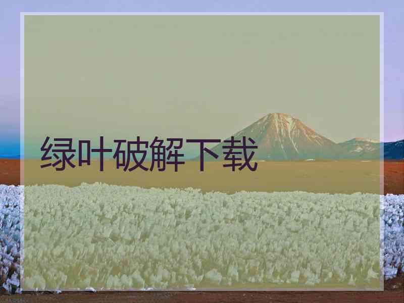 绿叶破解下载