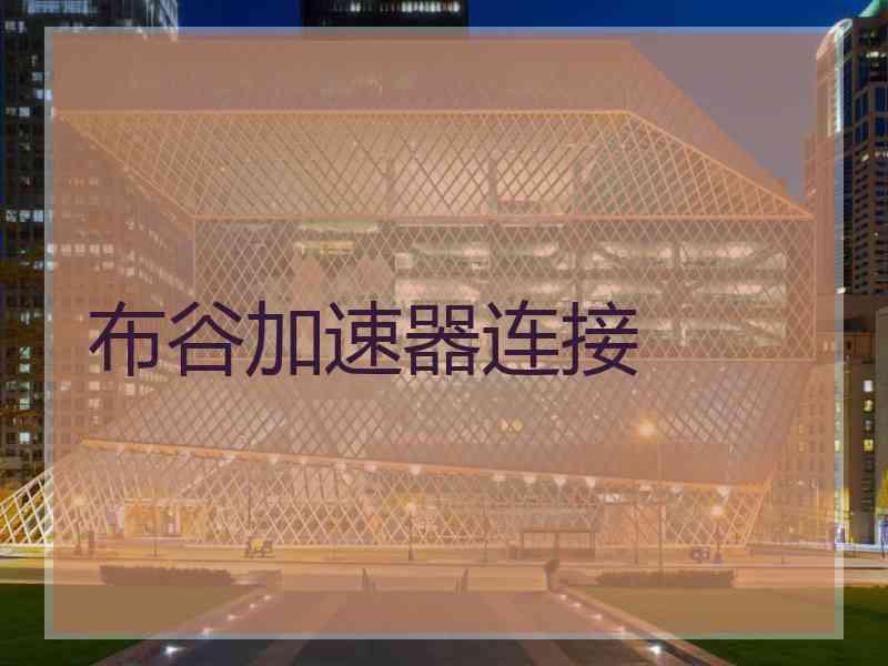 布谷加速器连接