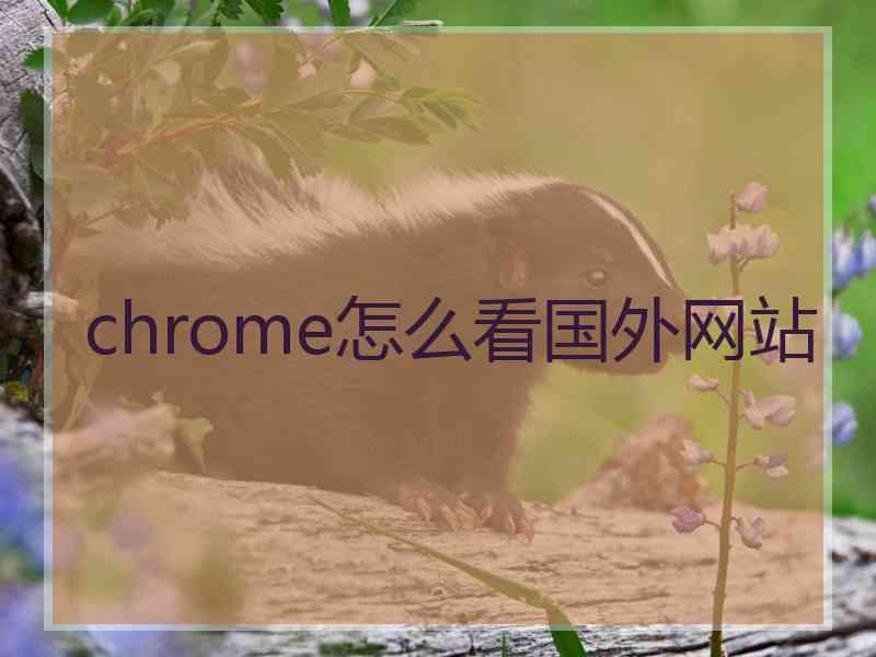 chrome怎么看国外网站