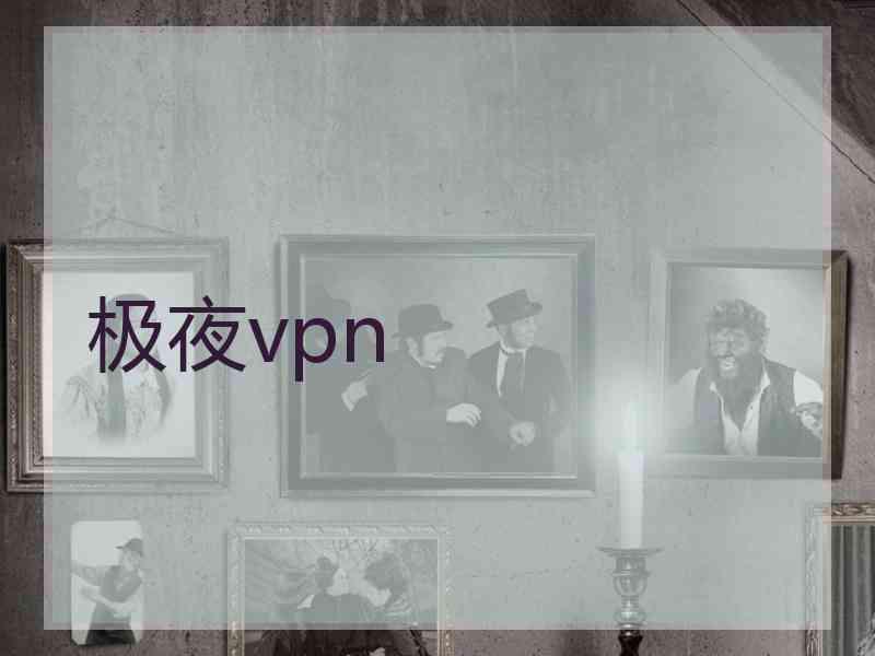 极夜vpn