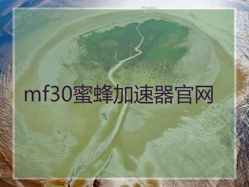 mf30蜜蜂加速器官网
