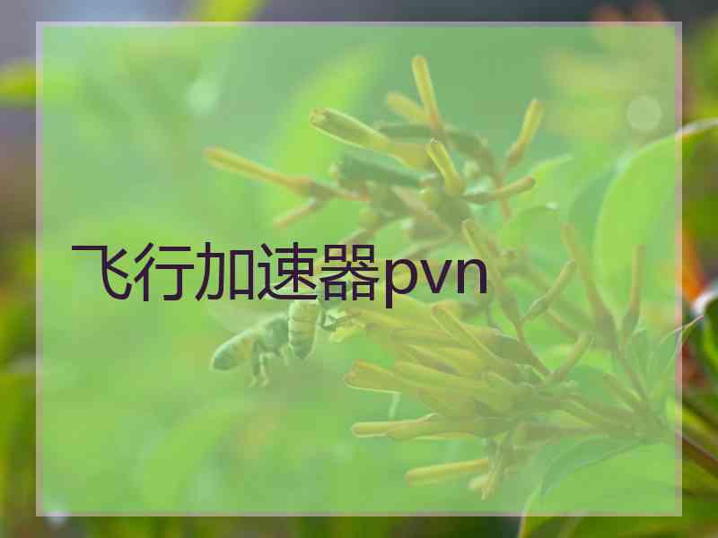 飞行加速器pvn