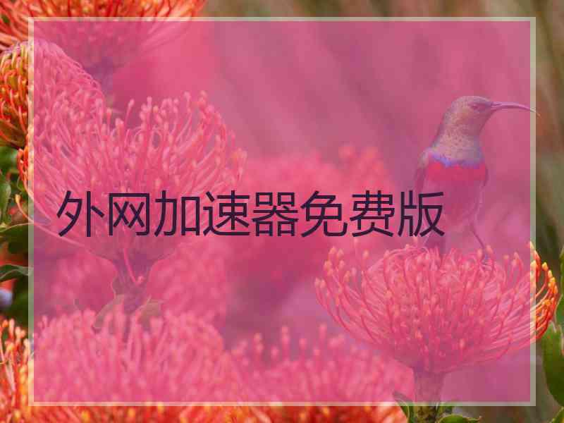 外网加速器免费版