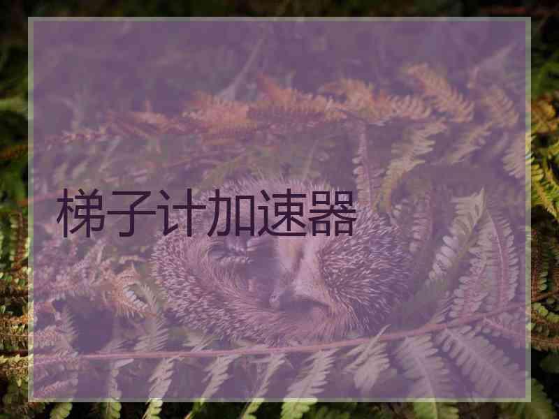 梯子计加速器