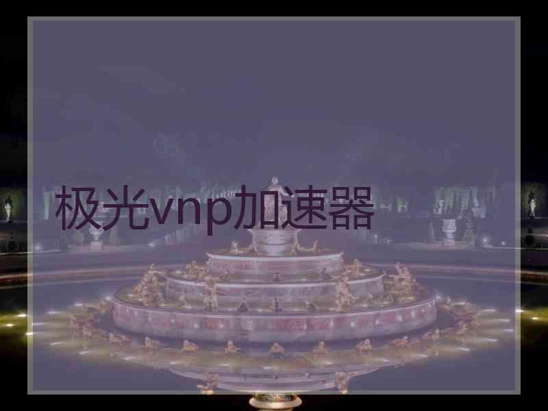 极光vnp加速器