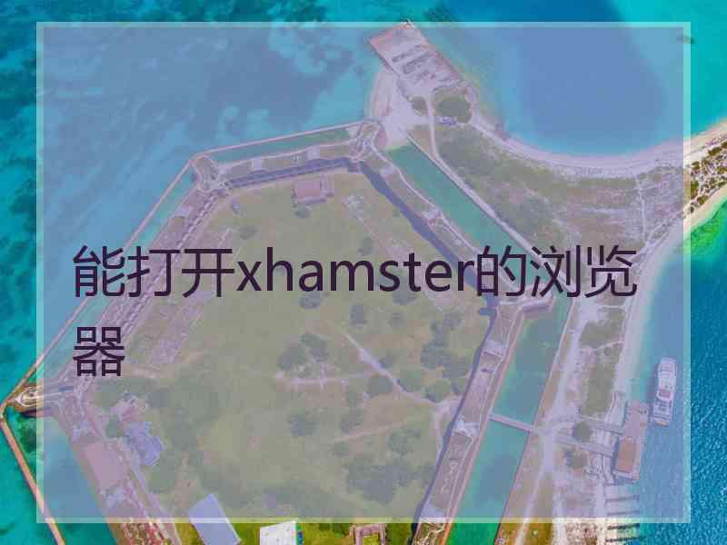能打开xhamster的浏览器