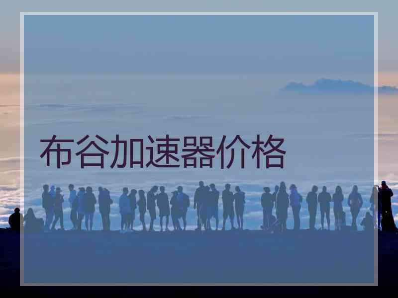 布谷加速器价格