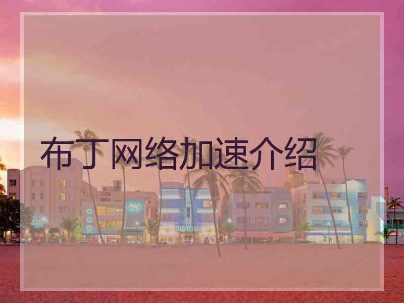布丁网络加速介绍