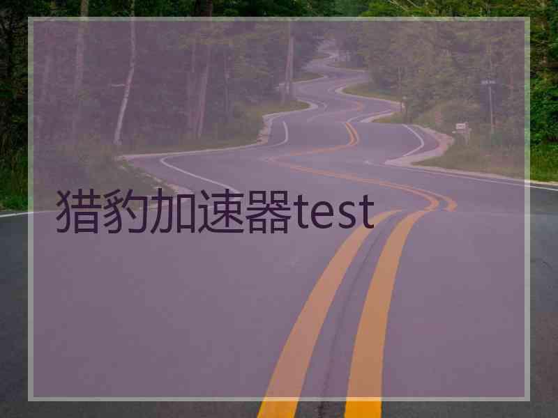 猎豹加速器test