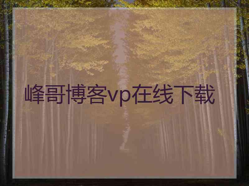 峰哥博客vp在线下载