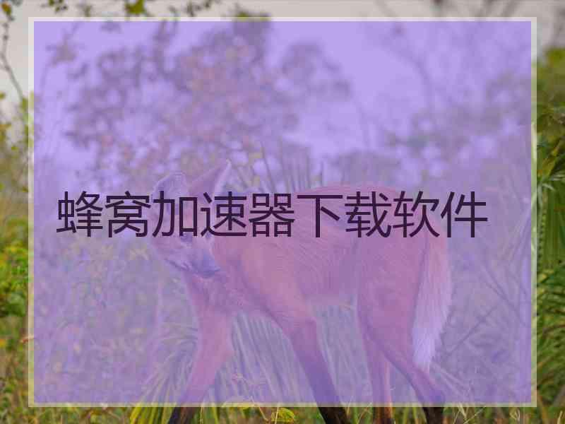 蜂窝加速器下载软件