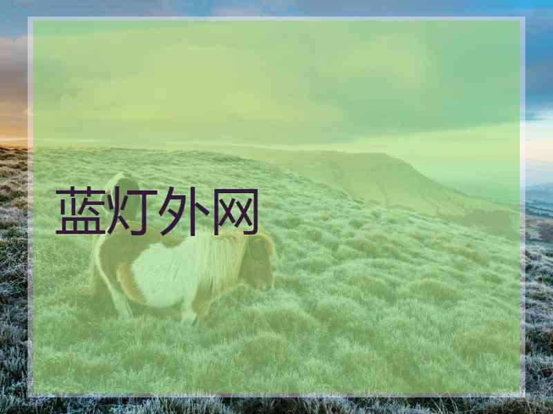 蓝灯外网