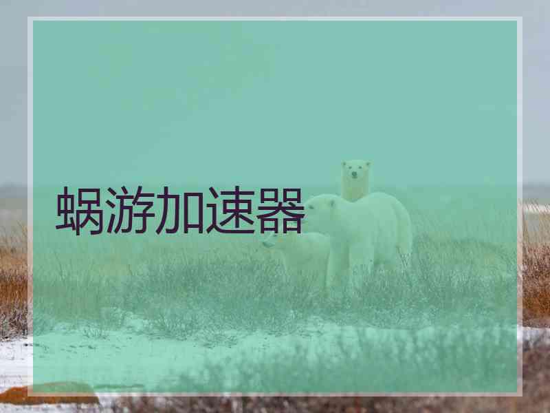 蜗游加速器