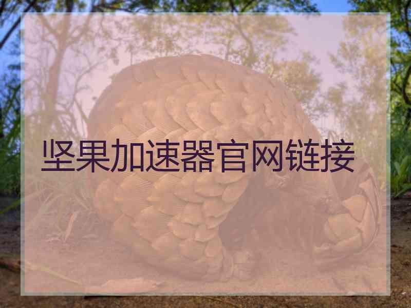 坚果加速器官网链接