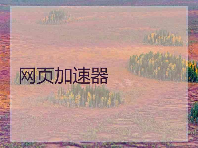 网页加速器