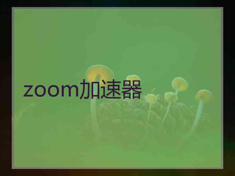 zoom加速器