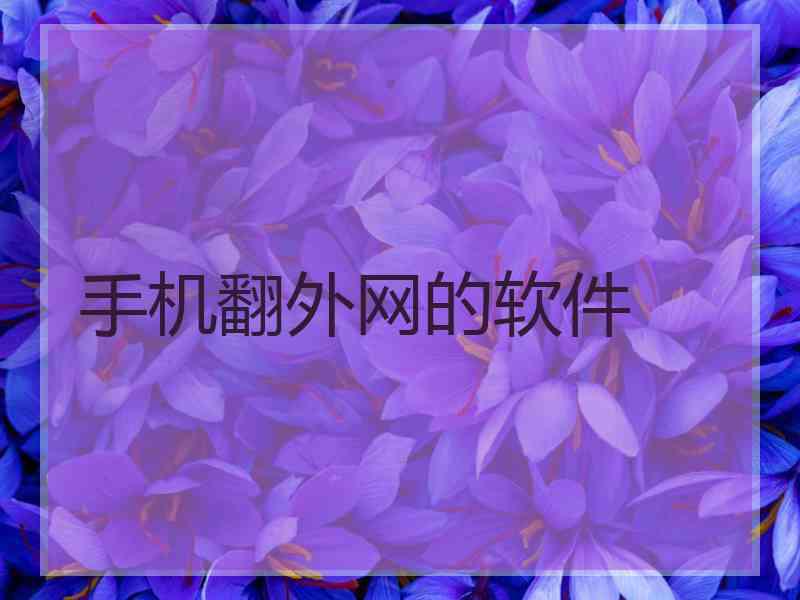 手机翻外网的软件