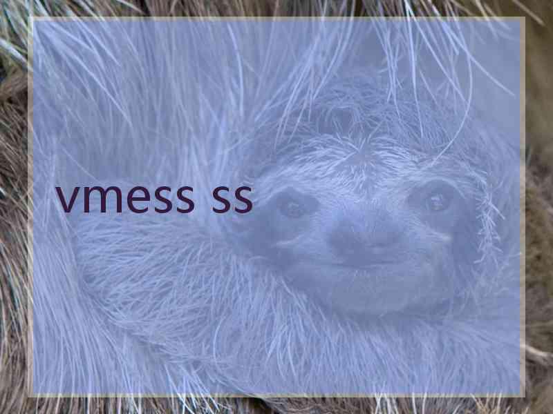 vmess ss