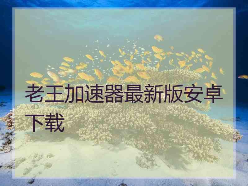 老王加速器最新版安卓下载