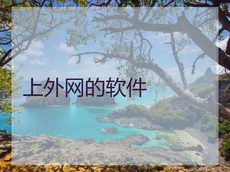 上外网的软件