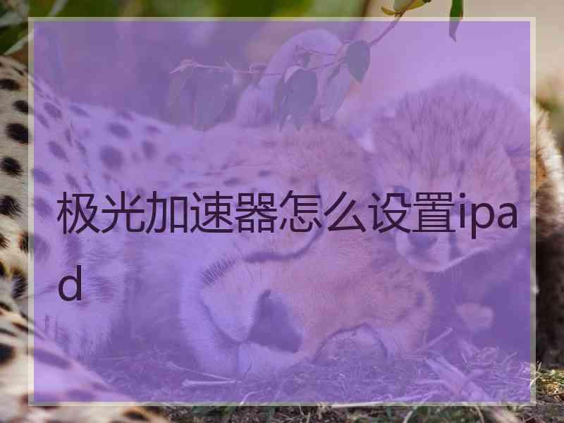 极光加速器怎么设置ipad