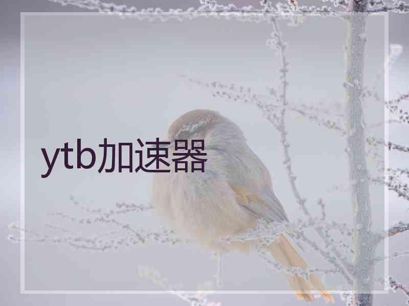 ytb加速器