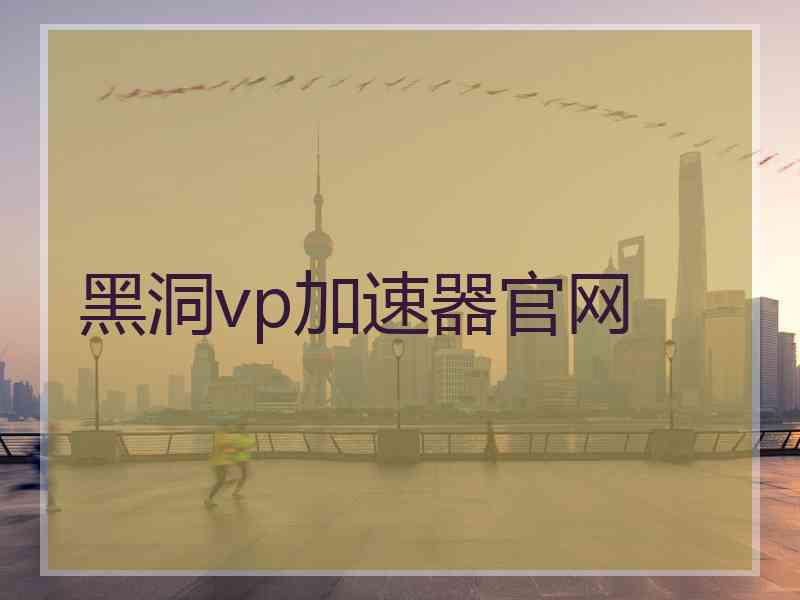 黑洞vp加速器官网