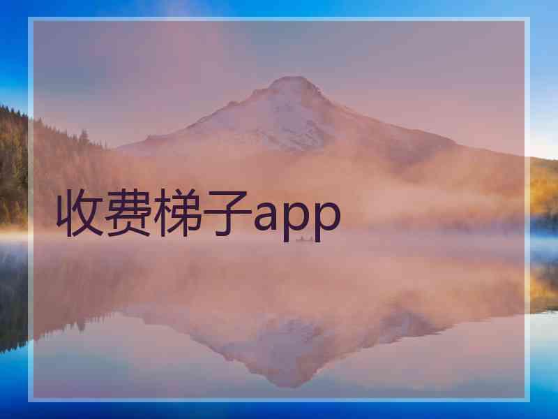 收费梯子app