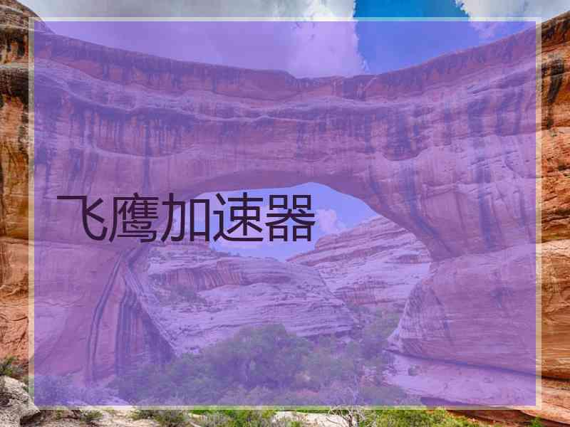 飞鹰加速器