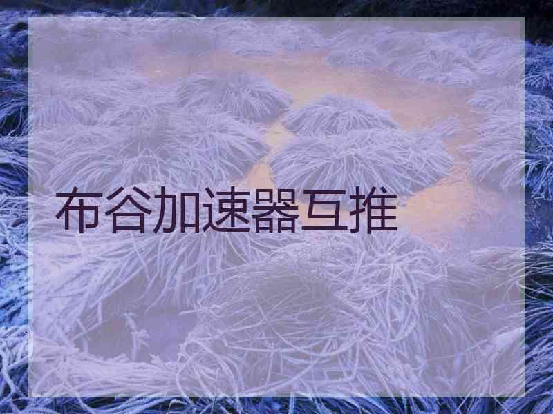 布谷加速器互推
