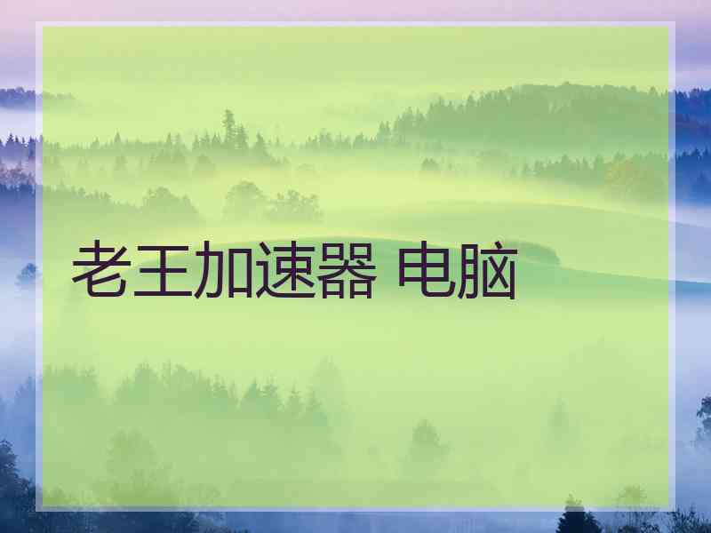 老王加速器 电脑