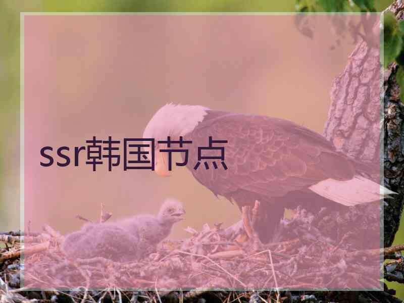 ssr韩国节点