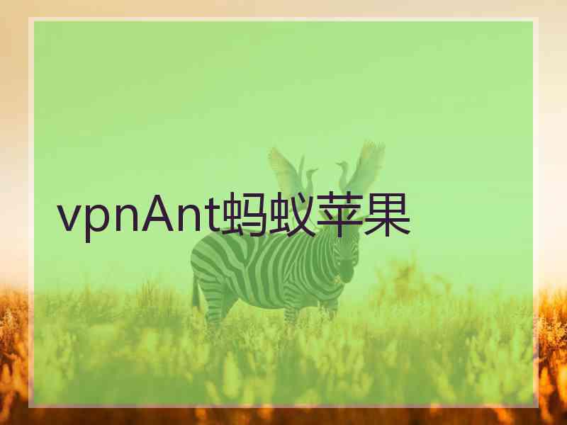 vpnAnt蚂蚁苹果