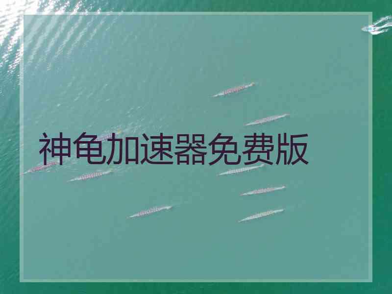 神龟加速器免费版