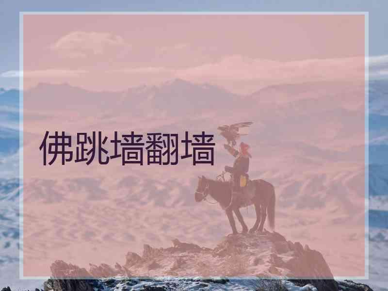 佛跳墙翻墙