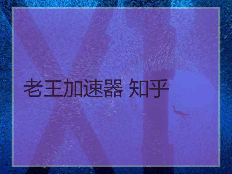 老王加速器 知乎