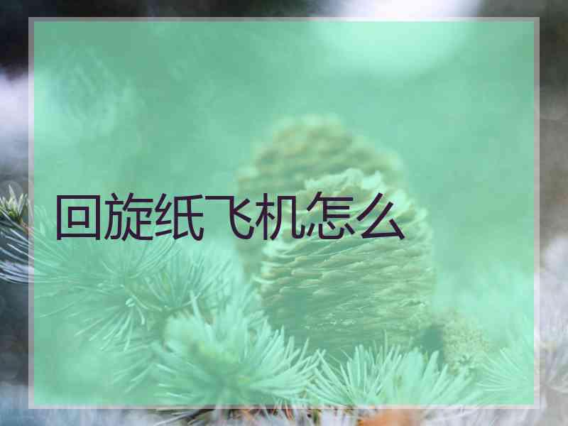 回旋纸飞机怎么