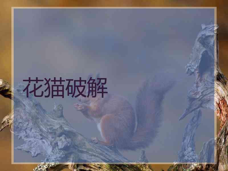 花猫破解