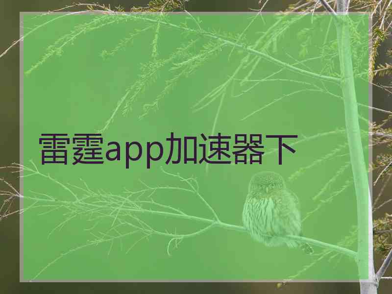 雷霆app加速器下
