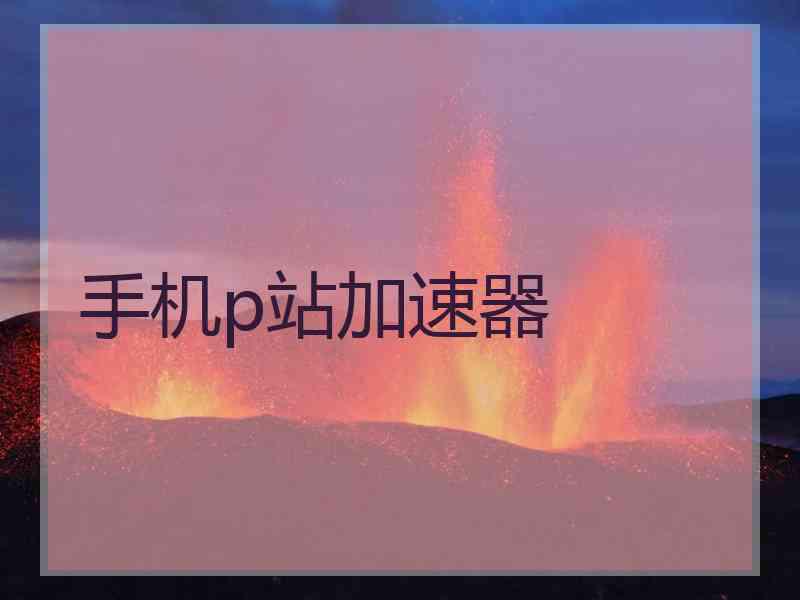 手机p站加速器