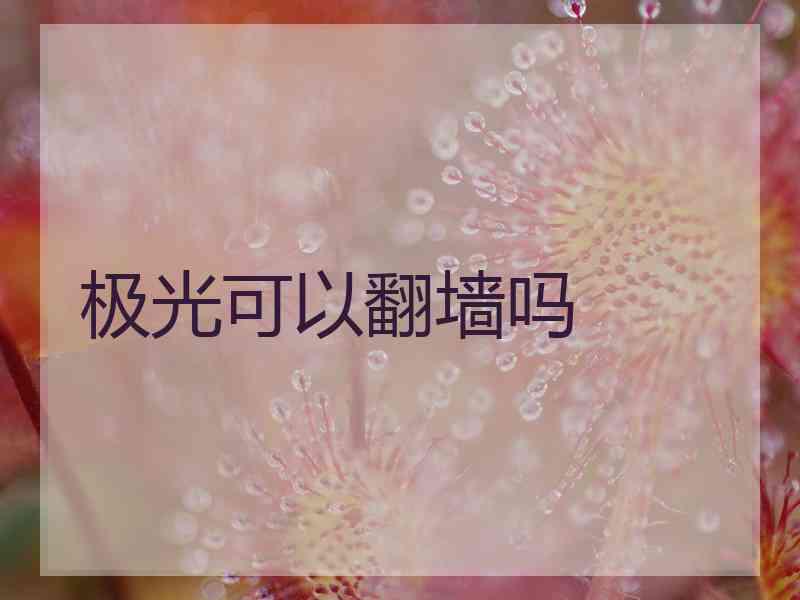 极光可以翻墙吗
