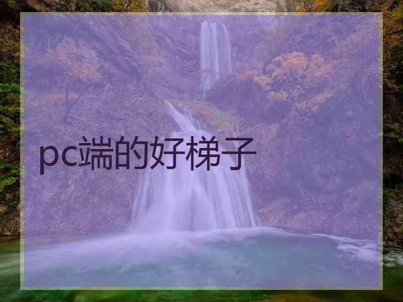 pc端的好梯子