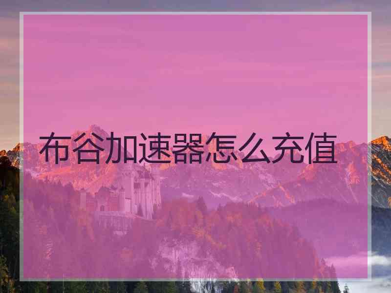 布谷加速器怎么充值
